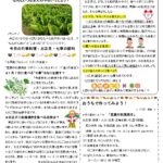 1月給食献立・給食だより🍙