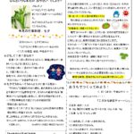 7月給食献立・給食だより🍙